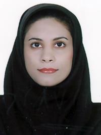 سولماز نورزاده